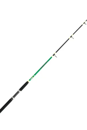 SUGOI ARGUS Compra Online