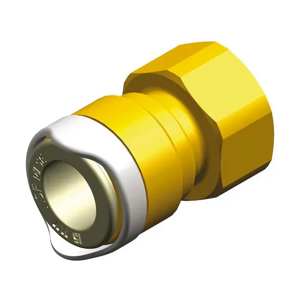 Reso Gratuito Adattatore 1/2 BSP ottone Whale Ø 15 mm